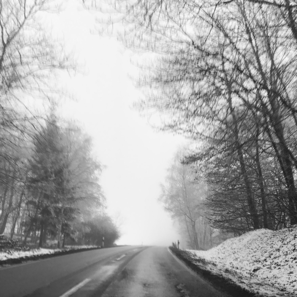 Passing Germany's longest Suspension Bridge Geierlay Besparkling