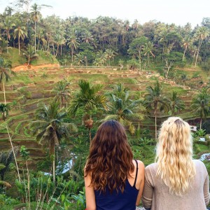 Rice Field, Ubud, Bali, Tagallaran, Culture, Nature
