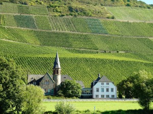 Mosel, wine country, germany, green, nature, travel 2016