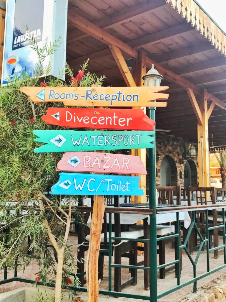 dive-center-sharm-el-sheikh-colourful