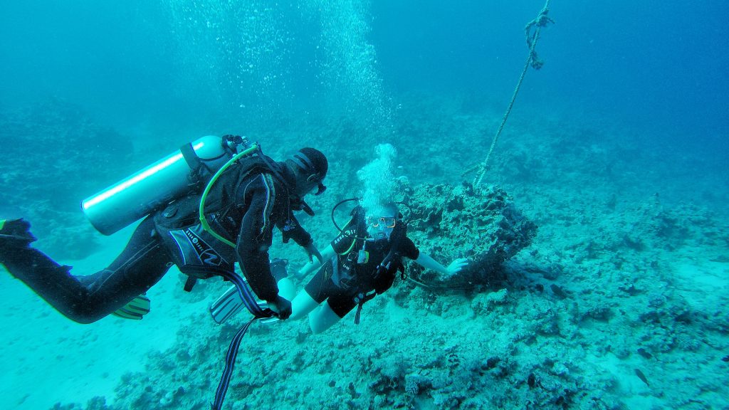 Sharm el Sheikh, Egypt, Royal Savoy, Savoy Group, underwater, corals, colourful, korallen, unterwasser