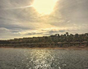 sharm-el-sheikh-beach-sunset-palms