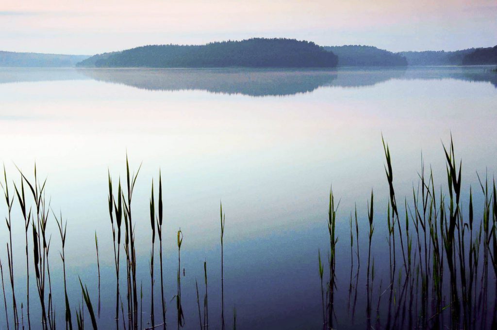 Gutshof Woldzegarten, Müritz, Müritz See,Müritz Nationalpark, Mecklenburg Vorpommern, Ausflugsziele Mecklenburg Vorpommern