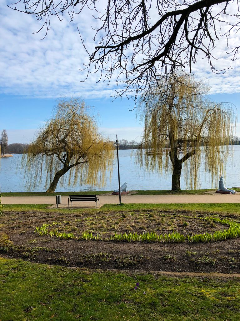 Gutshof Woldzegarten, Müritz, Müritz See, Weiden, Park, Mecklenburg Vorpommern, Ausflugsziele Mecklenburg Vorpommern