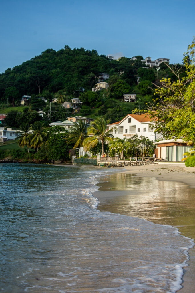 Grenada, ocean, sea, water, beach, house, palm trees