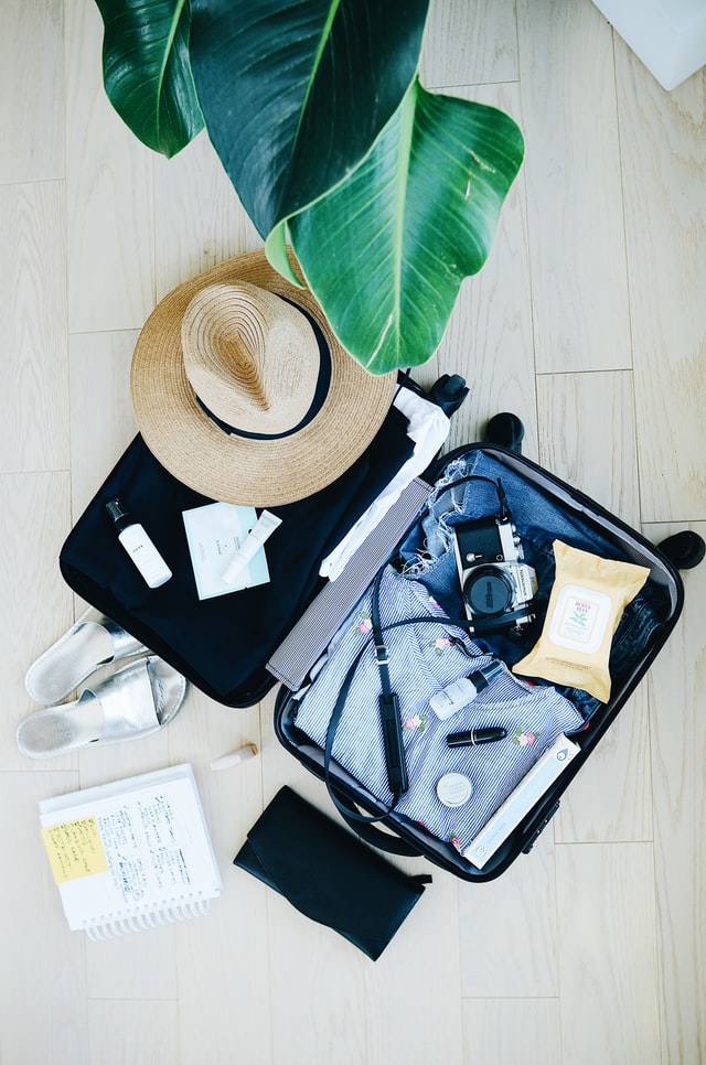 Suitcase, packing, summer, holiday, trip, hat, camera, plant, shoes, notebook