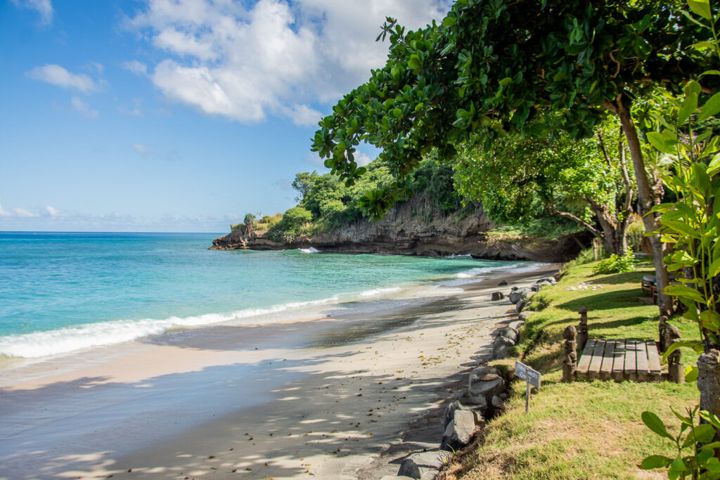 Caribbean,Grenada, Grand Grooms Beach, Sand, Water