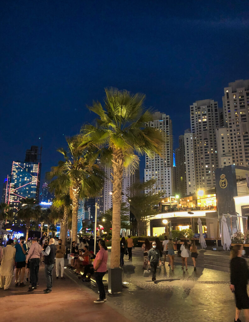Dubai_restaurant_palmtrees_lights_city_night_green_skyscrapers_people